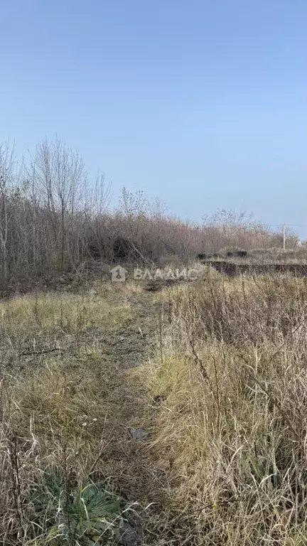 Участок в Белгородская область, Строитель Яковлевский городской округ, ... - Фото 2