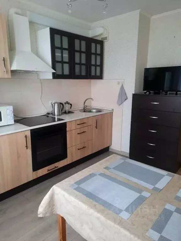 1-к кв. Санкт-Петербург пос. Парголово, ул. Михаила Дудина, 25к1 (42.3 ... - Фото 0