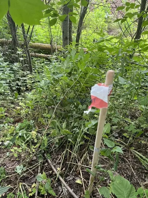 Участок в Нижегородская область, Нижний Новгород Подновье сл.,  (8.0 ... - Фото 2