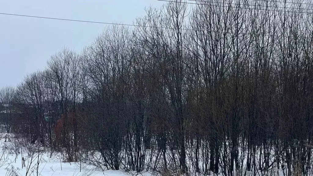 Участок в Московская область, Истра ул. Ленина, Река Истра (7.67 сот.) - Фото 2