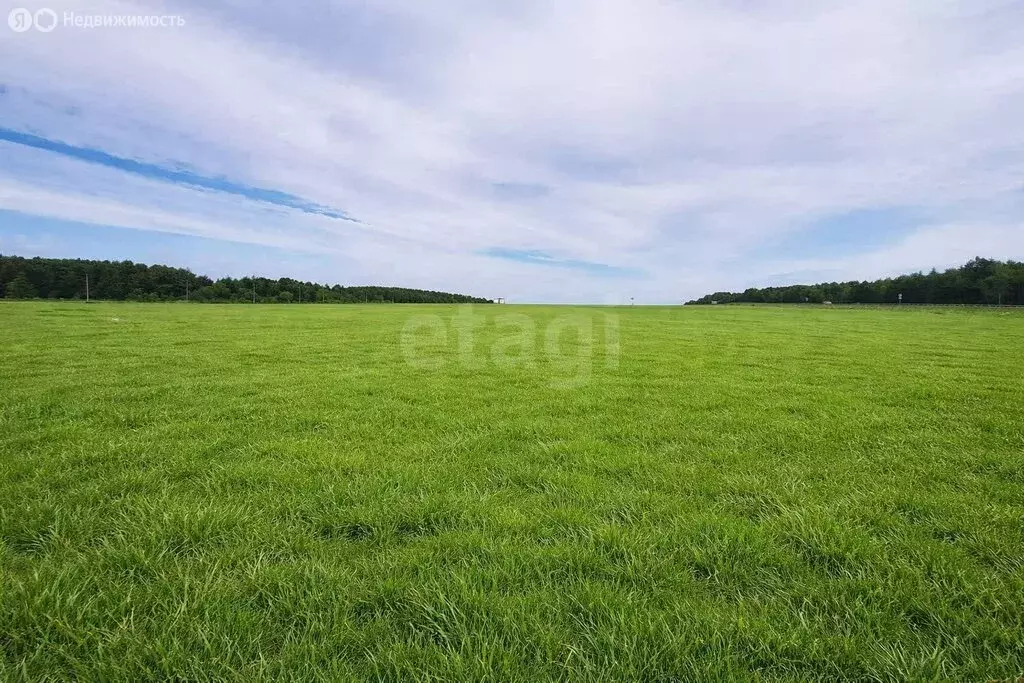 Участок в Анивский городской округ, село Мицулёвка, Железнодорожная ... - Фото 2