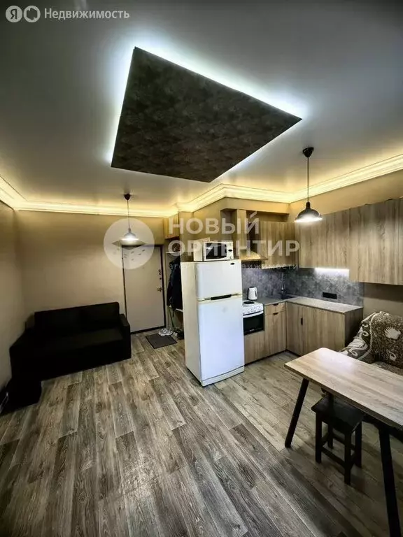 Квартира-студия: Екатеринбург, улица Лодыгина, 15 (20.9 м) - Фото 1