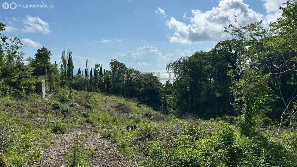 Участок в Краснодарский край, Сочи, микрорайон Аше (6 м) - Фото 1