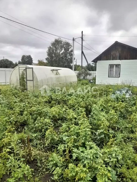 Участок в Новосибирская область, Ордынское рп, Рябинка СНТ ул. ... - Фото 1