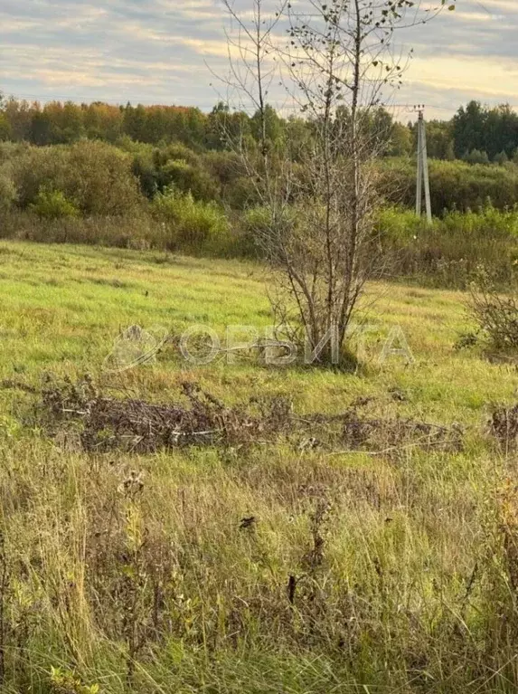 Участок в Тюменская область, Тюмень  (6.6 сот.) - Фото 2