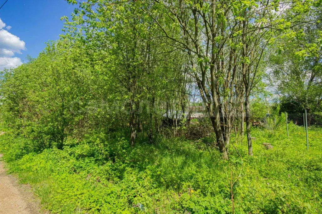 Участок в Московская область, Одинцовский городской округ, пос. Часцы ... - Фото 1