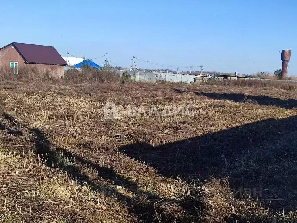 Участок в Владимирская область, Суздальский район, Боголюбовское ... - Фото 0