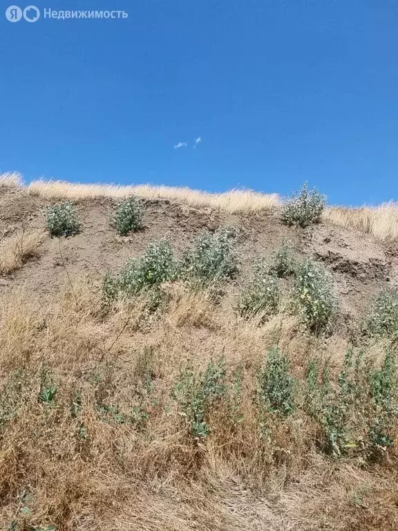 Участок в станица Барсуковская, улица Ленина, 1Б (3700 м) - Фото 1