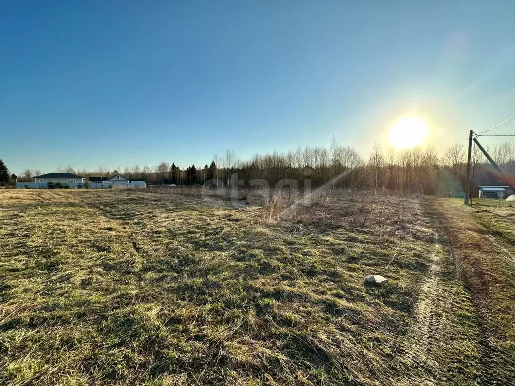 Участок в Вологодская область, пос. Лесково  (15.0 сот.) - Фото 1