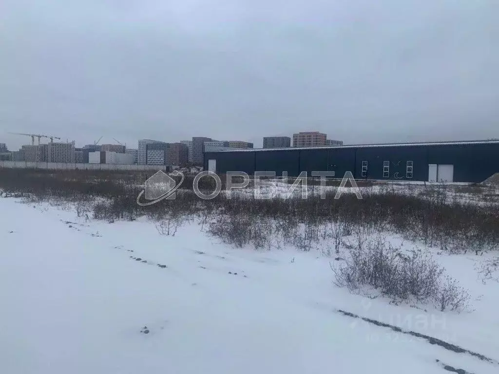 Участок в Тюменская область, Тюмень  (24.93 сот.) - Фото 2