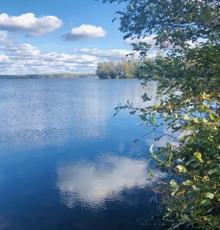 Участок в Санкт-Петербург пос. Репино,  (195.0 сот.) - Фото 1