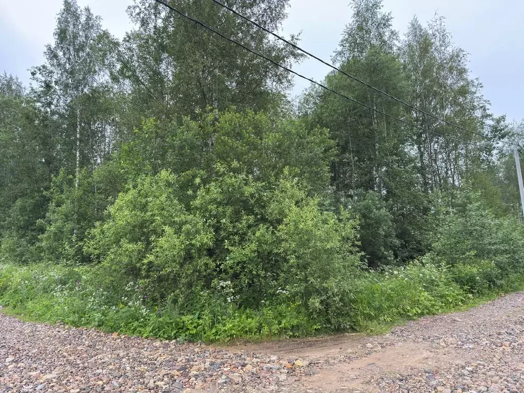 Участок в Ленинградская область, Кировский район, Мгинское городское ... - Фото 0