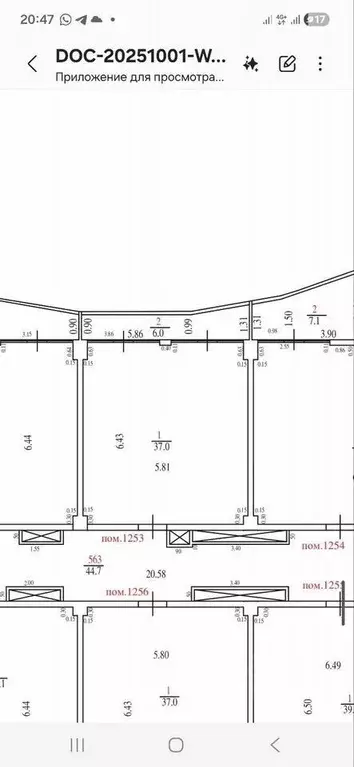 Студия Краснодарский край, Сочи ул. Просвещения, 32 (43.0 м) - Фото 1