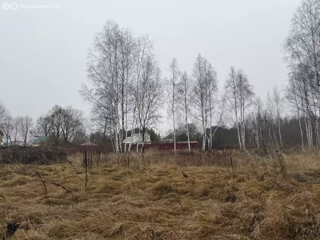 Участок в Калужская область, Перемышльский муниципальный округ, ... - Фото 2