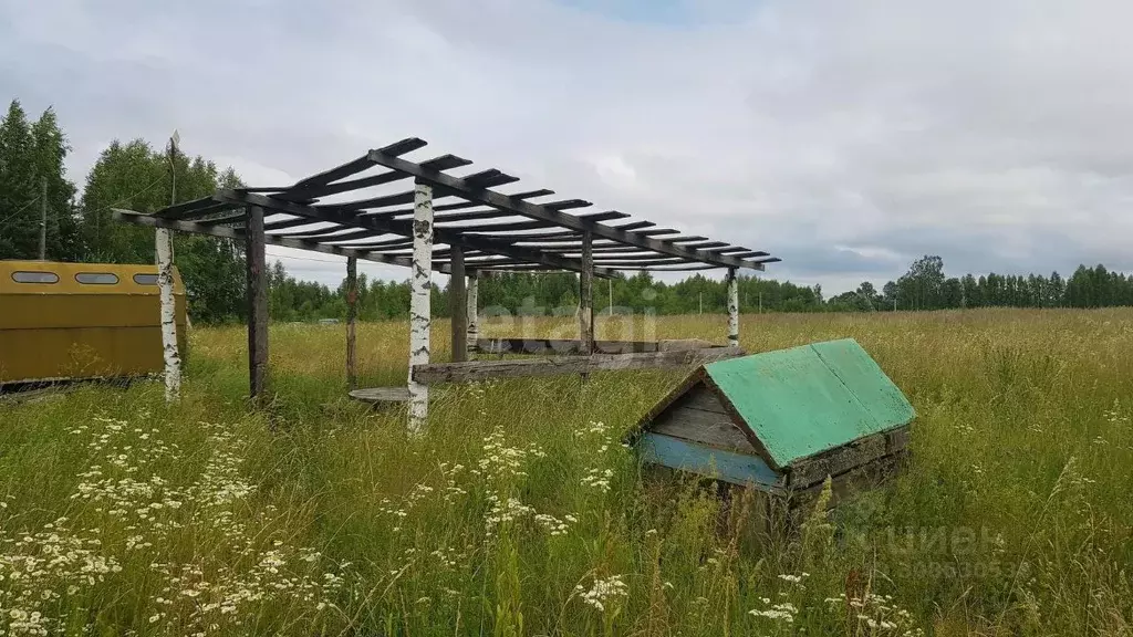 Участок в Брянская область, Жуковский муниципальный округ, д. Упрусы  ... - Фото 1