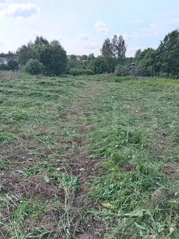 Участок 25 сот. (ИЖС) - Фото 0