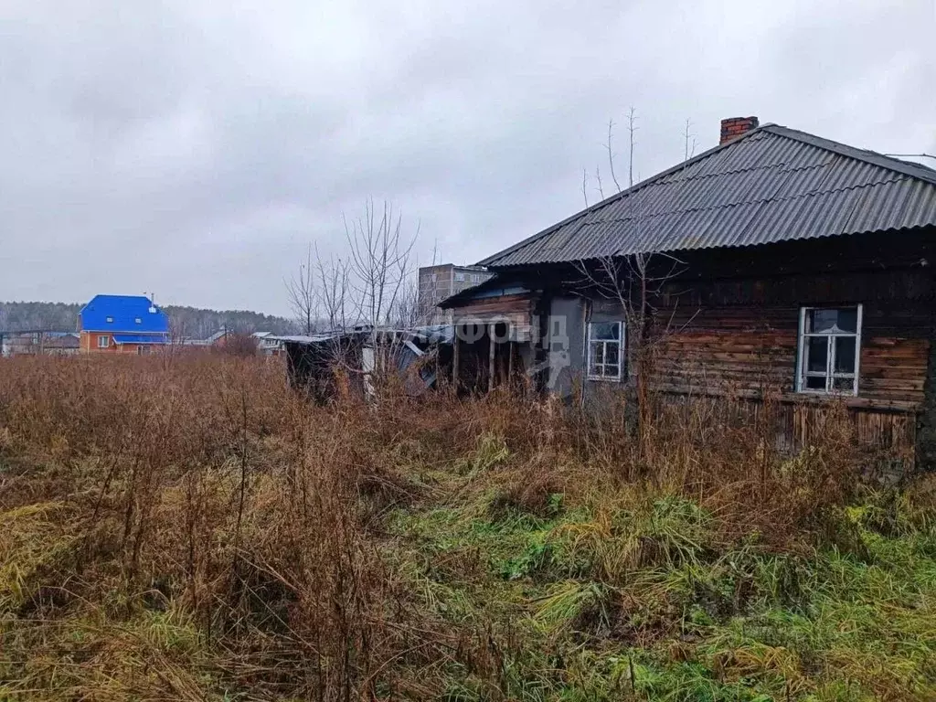 Дом в Новосибирская область, Новосибирский район, с. Барышево ул. ... - Фото 0