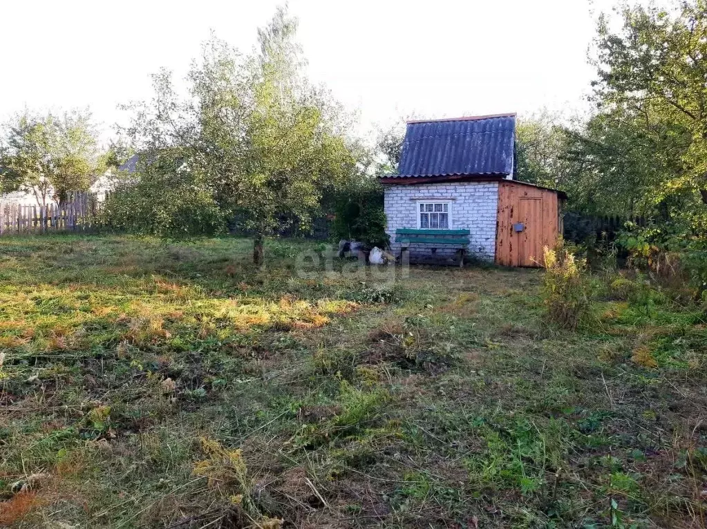 Дом в Брянская область, Брянский район, Снежское с/пос, с. Толмачево, ... - Фото 1