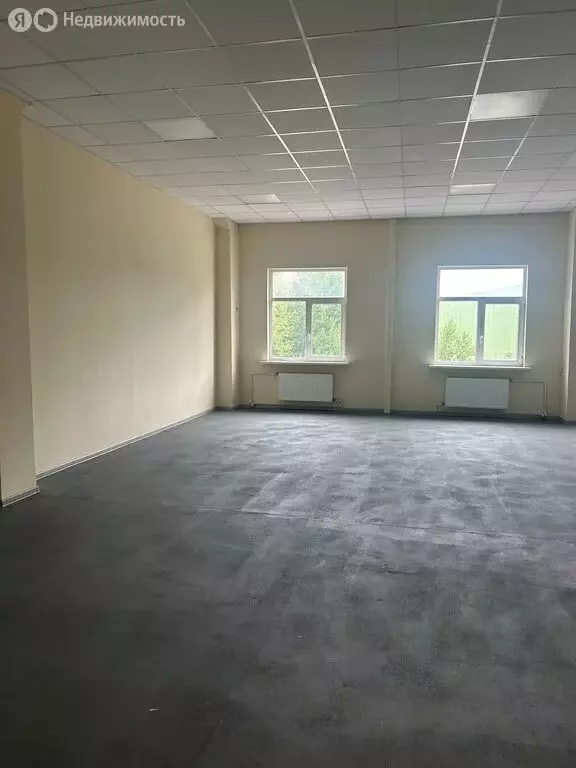 Помещение свободного назначения (37 м) - Фото 2