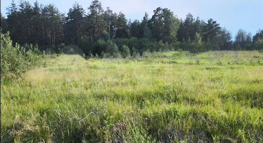 Участок 1,65 га (ИЖС) - Фото 1
