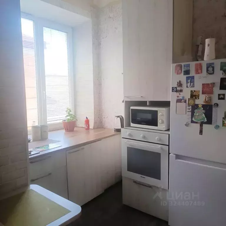 2-к кв. Курганская область, Курган ул. Красина, 72 (33.1 м) - Фото 1