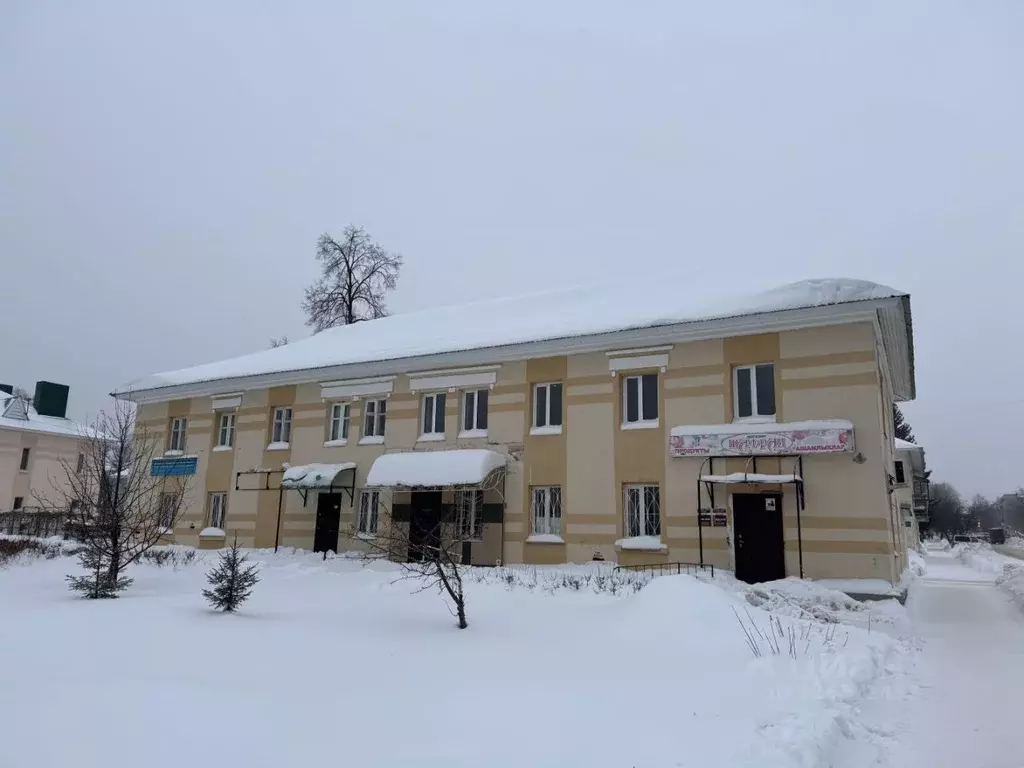 Помещение свободного назначения в Татарстан, Лениногорск Тукая ул., ... - Фото 1