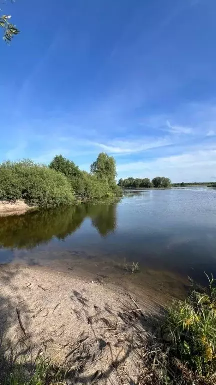 Участок в Калининградская область, Гвардейский муниципальный округ, ... - Фото 0