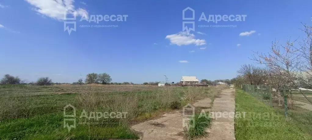 Участок в Волгоградская область, Среднеахтубинский район, Клетское ... - Фото 1