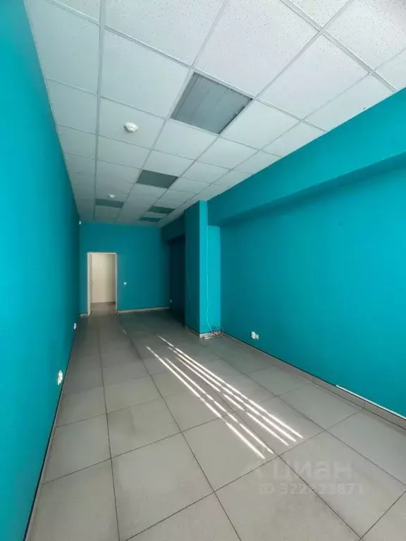 Офис в Новосибирская область, Новосибирск ул. Карла Либкнехта, 125 (25 ... - Фото 2