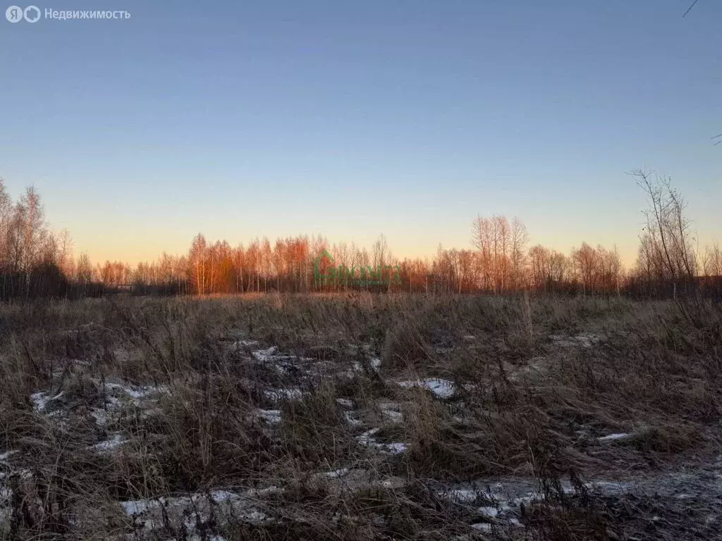 Участок в Тобольск, микрорайон Иртышский (8.7 м) - Фото 1