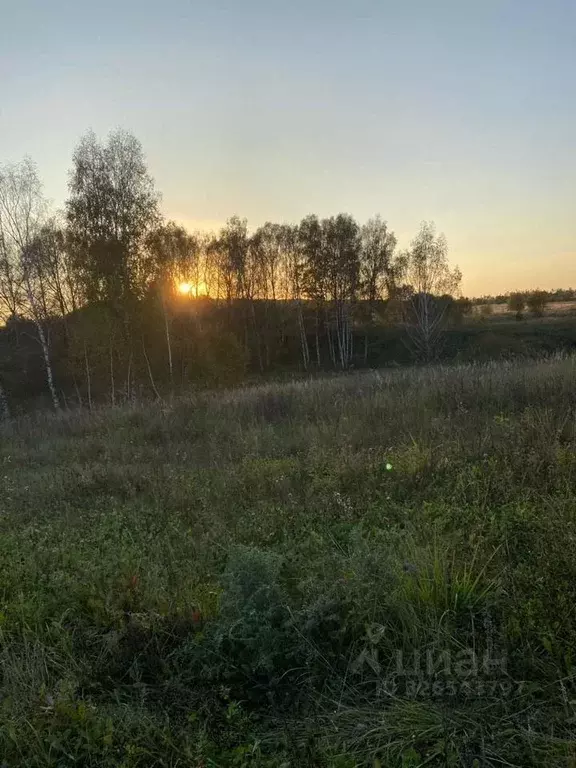 Участок в Московская область, Ступино городской округ, д. Акатово 3 ... - Фото 2