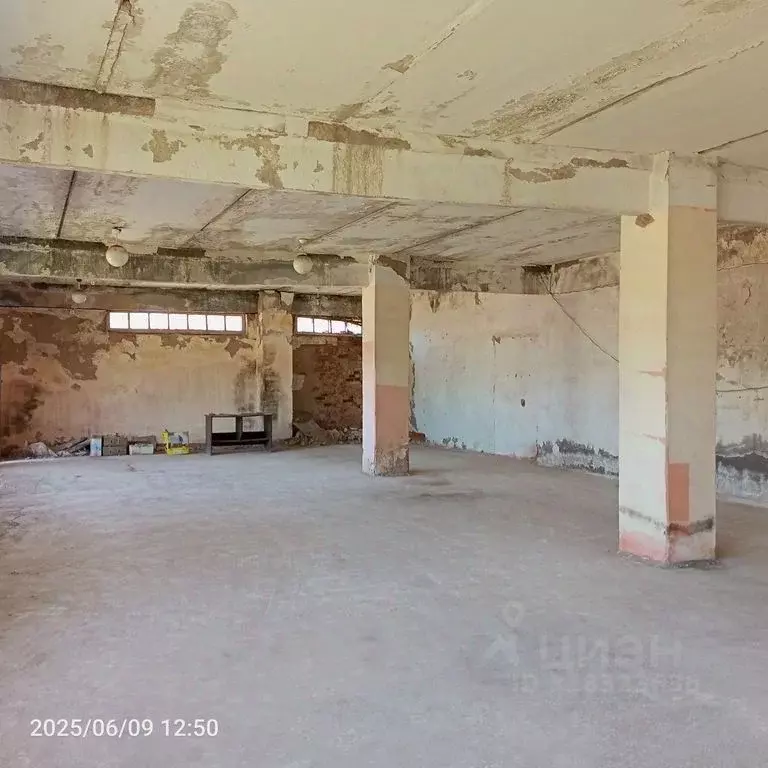 Помещение свободного назначения в Оренбургская область, Оренбургский ... - Фото 1