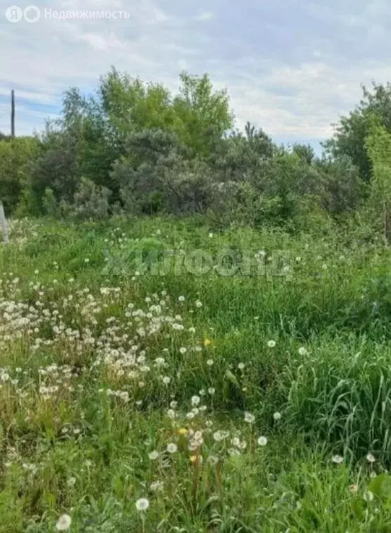 Участок в Тогучинский район, СНТ Ветеран (11.91 м) - Фото 1