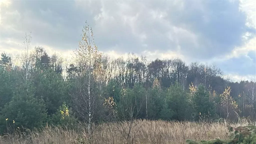 Участок в Московская область, Ступино пер. 2-й Знаменский (10.0 сот.) - Фото 1