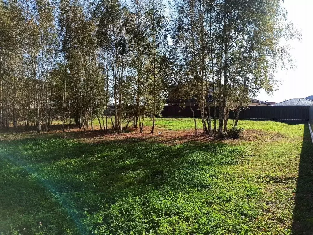 Участок в Москва д. Клоково, Певчее кп, 466 (11.0 сот.) - Фото 2