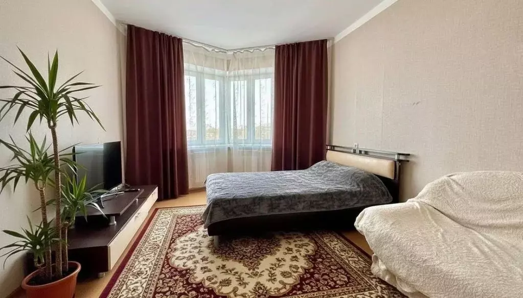 1-к кв. Орловская область, Орел ул. Панчука, 83А (42.5 м) - Фото 1