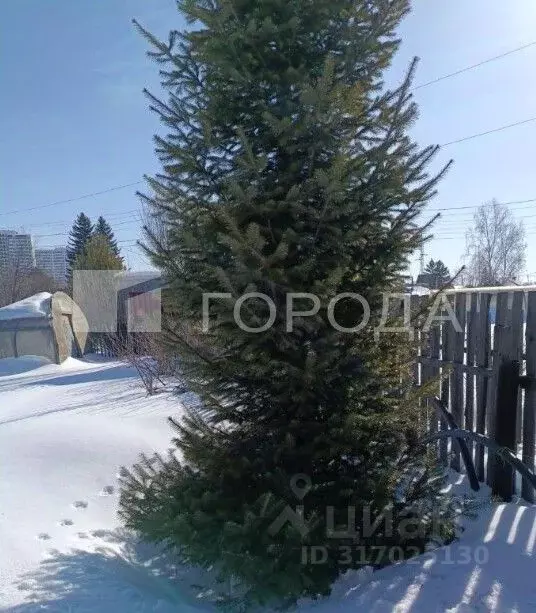 Дом в Новосибирская область, Новосибирск Радуга садовое товарищество, ... - Фото 0