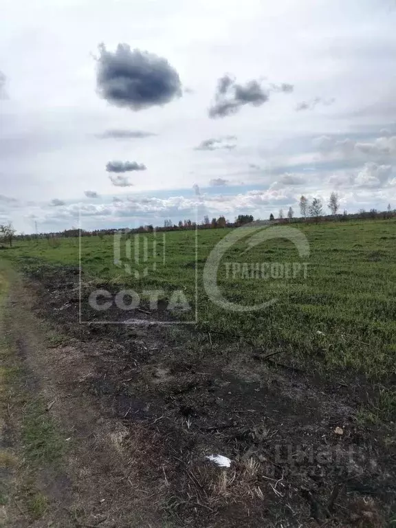 Участок в Воронежская область, Новоусманский район, Усманское 1-е ... - Фото 2