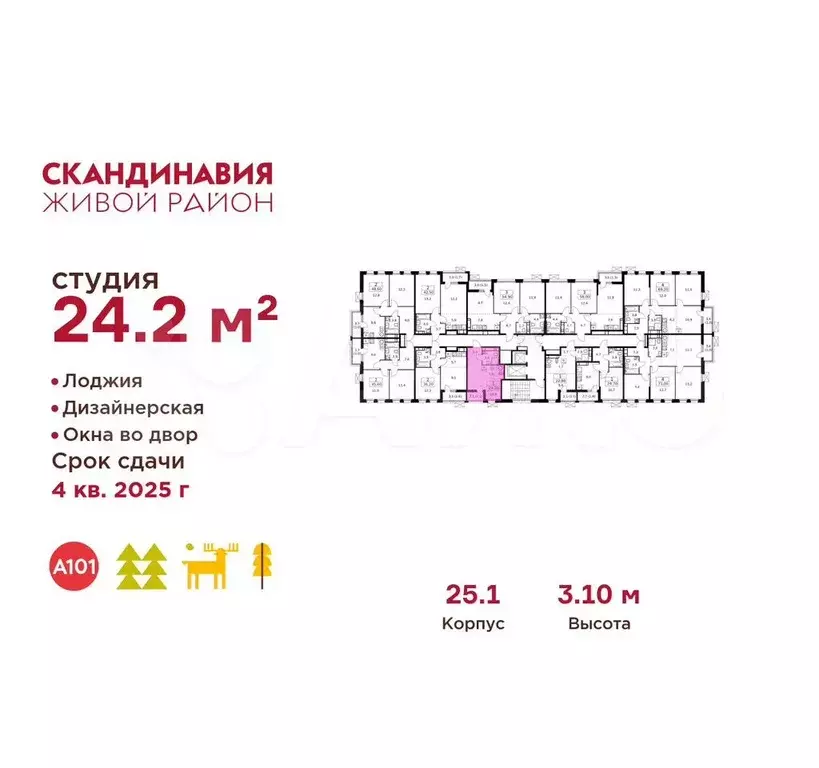 Квартира-студия, 24,2 м, 12/14 эт. - Фото 1