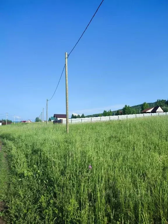 Участок в Красноярский край, Березовский район, Маганский сельсовет, ... - Фото 0