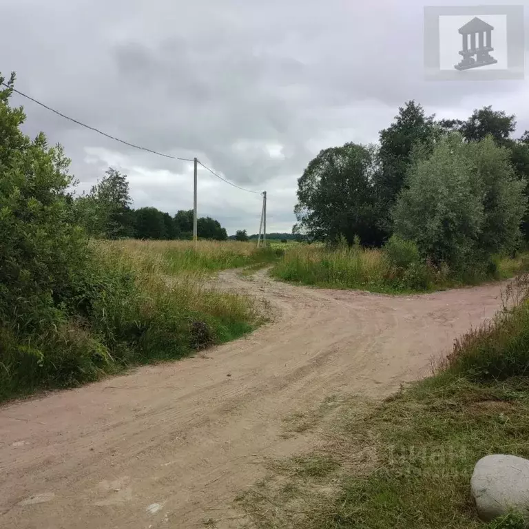 Участок в Калининградская область, Гурьевский муниципальный округ, ... - Фото 1