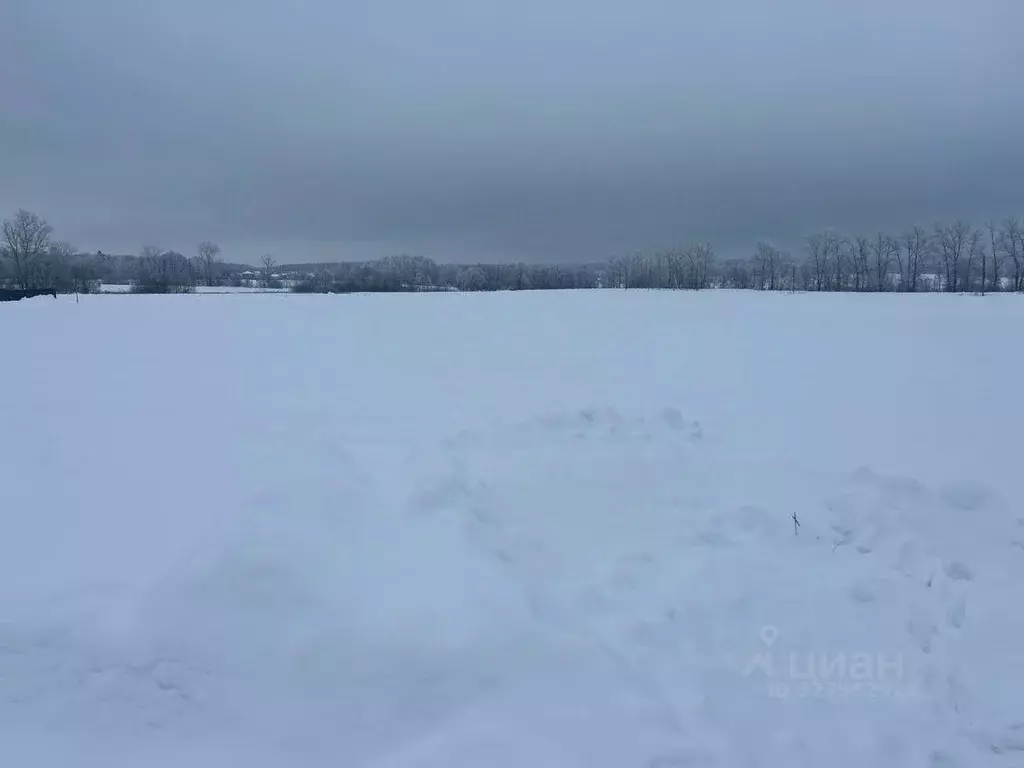 Участок в Московская область, Ступино городской округ, с. Киясово пер. ... - Фото 1