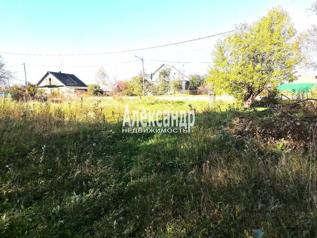 Участок в Ленинградская область, Приозерский район, Сосновское с/пос, ... - Фото 1