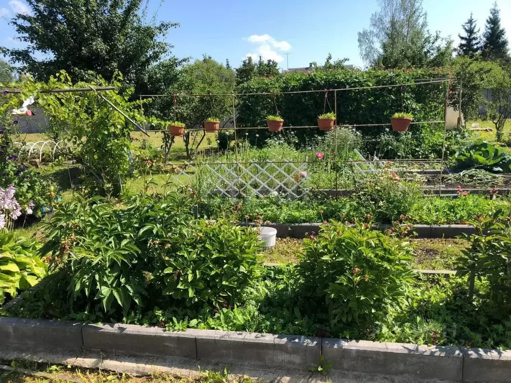 Дом в Псковская область, Пыталово Береговая ул., 38 (200 м) - Фото 1