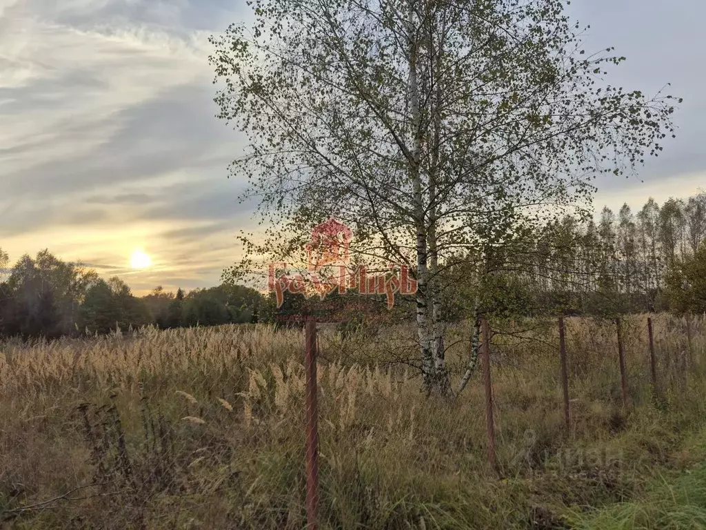 Участок в Московская область, Дмитровский муниципальный округ, с. ... - Фото 2