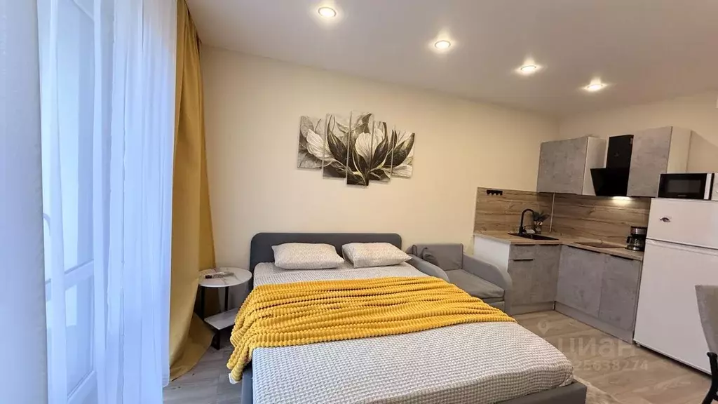 Студия Краснодарский край, Сочи ул. Искры, 88к3 (29.0 м) - Фото 2