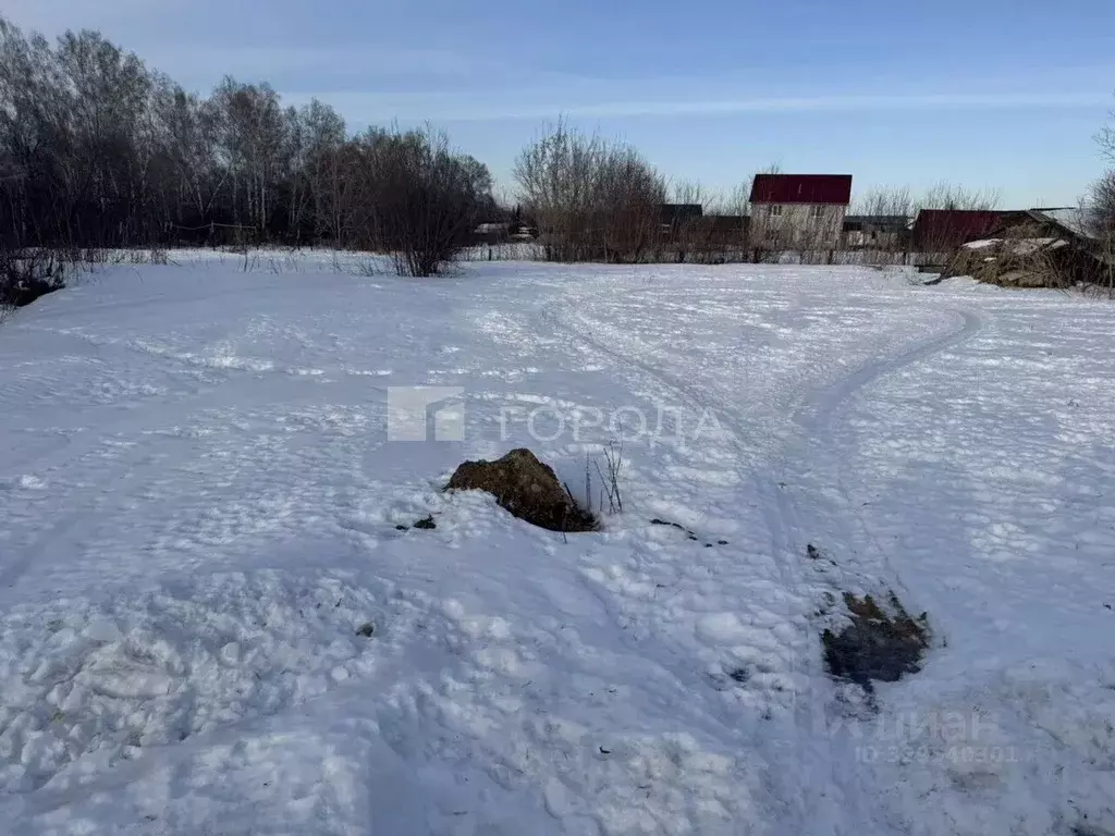Участок в Алтайский край, Барнаул городской округ, пос. Бельмесево ул. ... - Фото 1