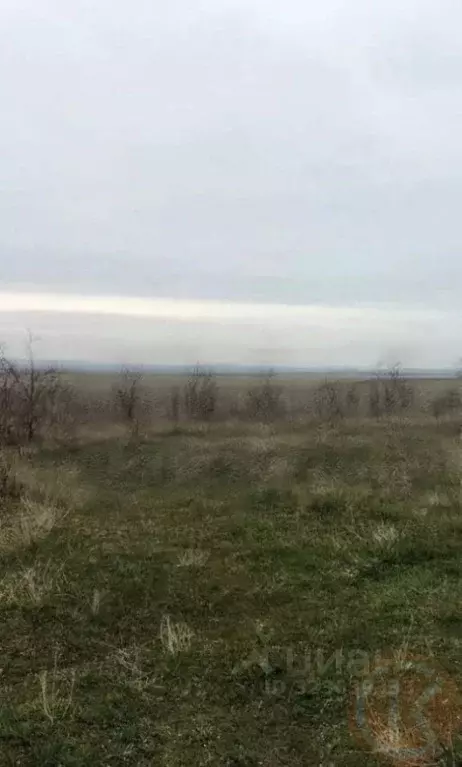 Участок в Крым, Бахчисарайский район, Песчановское с/пос, с. Береговое ... - Фото 1