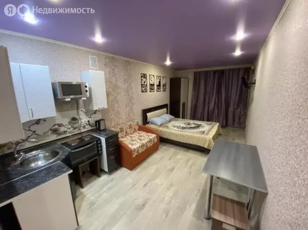 Квартира-студия: Саратов, Огородная улица, 157 (27 м) - Фото 1