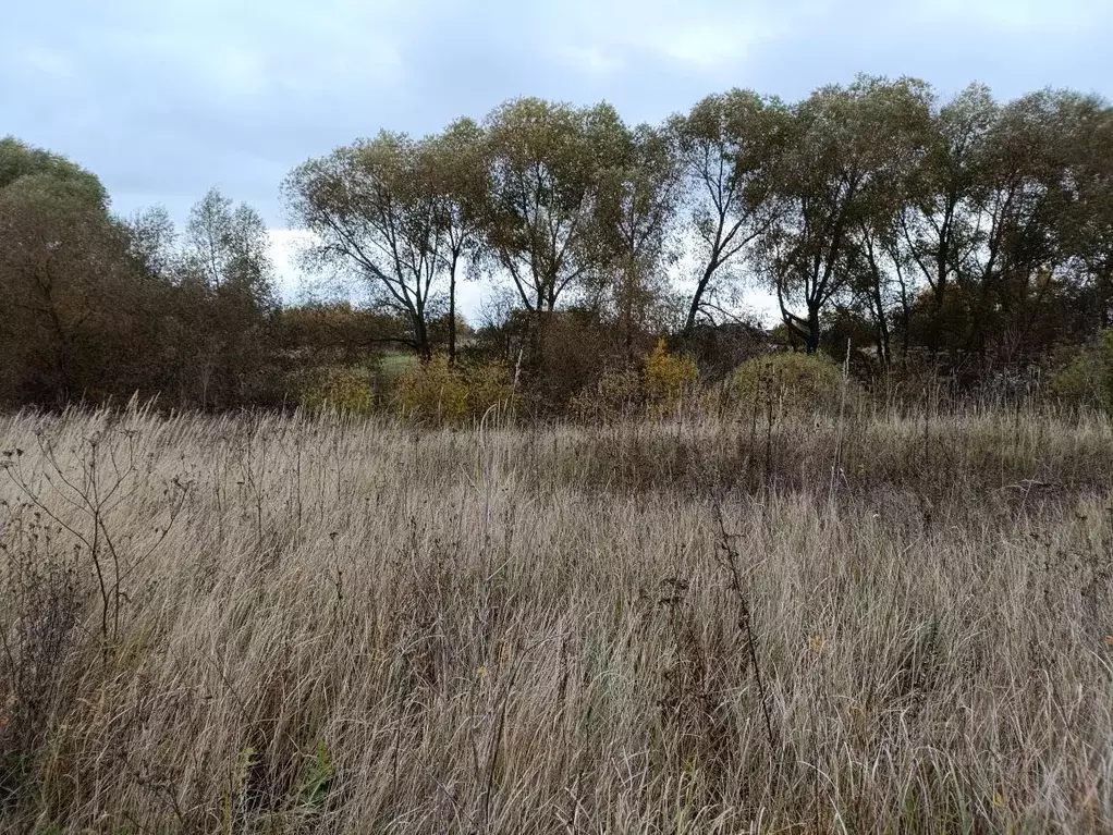 Участок в Московская область, Воскресенск городской округ, д. Городище ... - Фото 0